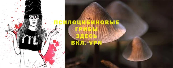 трава Бородино