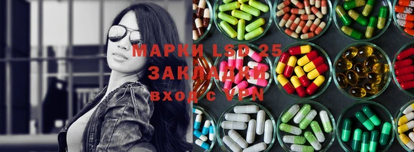 трава Бородино