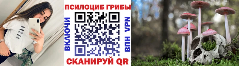 Купить закладки  Задонск  Псилоцибиновые грибы MAGIC MUSHROOMS 